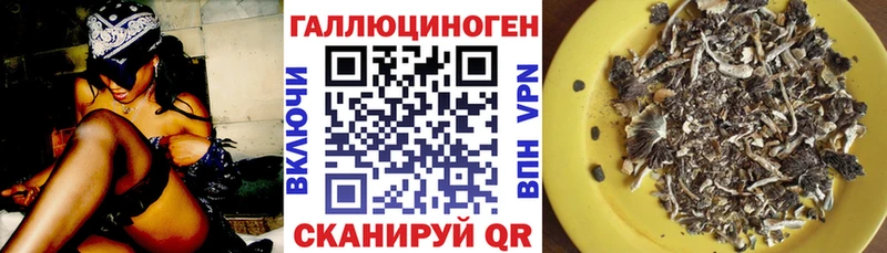наркотики  Анадырь  Псилоцибиновые грибы Psilocybe 